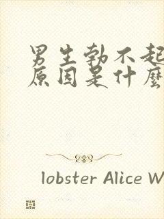 男生勃不起来的原因是什么