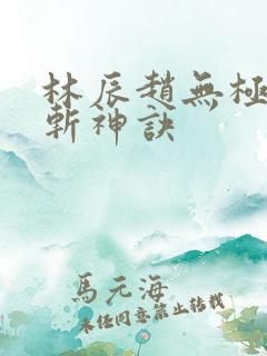 林辰赵无极九天斩神诀