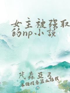 女主被强取豪夺的np小说