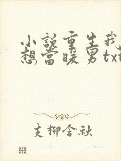 小说重生我真没想当暖男txt