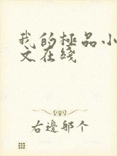 我的极品小姨全文在线