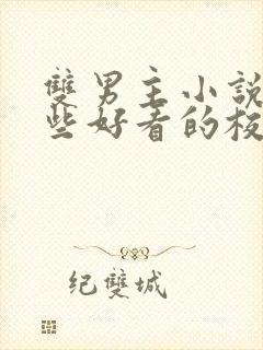 双男主小说有哪些好看的校园文