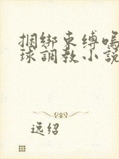 捆绑束缚呜呜口球调教小说