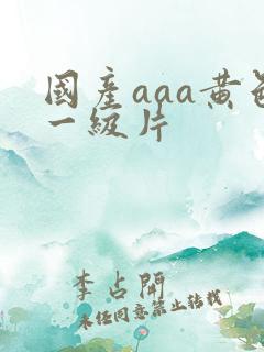 国产aaa黄色一级片