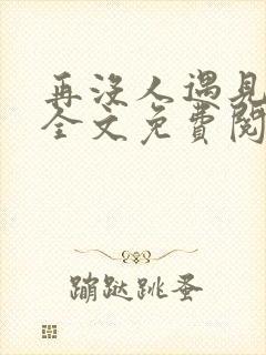 再没人遇见小说全文免费阅读