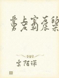 爱上室友的校草男友荆辰宋吟