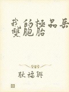 我的极品岳母是双胞胎