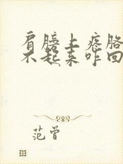 肩膀上疼胳膊抬不起来咋回事