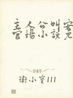 主人公叫安江的官场小说免费阅读