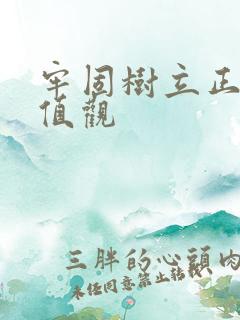 牢固树立正确价值观