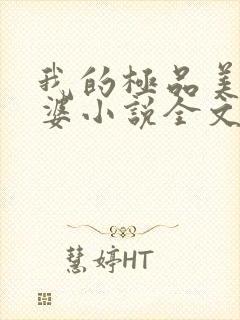 我的极品美女老婆小说全文免费读