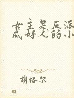 女主是反派却装成好人的小说