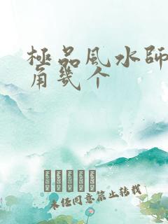 极品风水师女主角几个