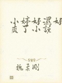 小婷好湿好紧太爽了小说