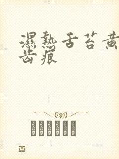 湿热舌苔黄腻有齿痕