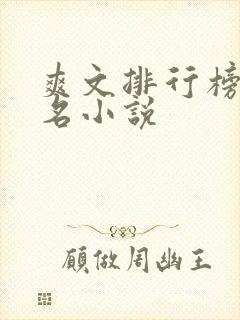 爽文排行榜前十名小说