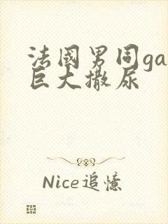 法国男同gay巨大撒尿