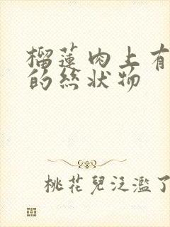 榴莲肉上有褐色的丝状物