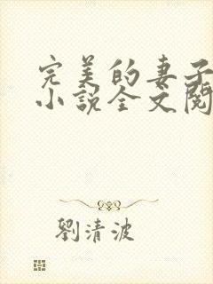 完美的妻子赵岚小说全文阅读