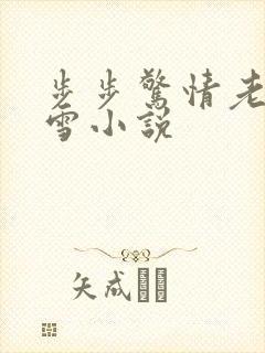 步步惊情老谢韩雪小说