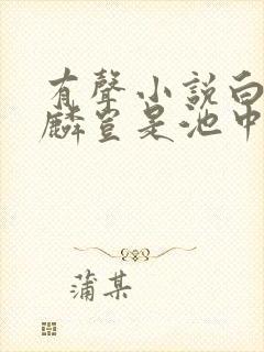 有声小说白洁麒麟岂是池中物