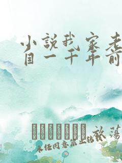 小说我家老婆来自一千年前免费看