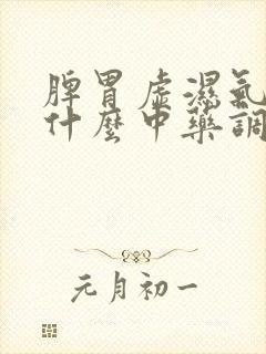 脾胃虚湿气重吃什么中药调理