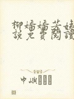 柳娇娇芳姨的小说免费阅读全文