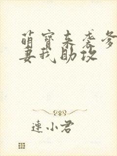 萌宝来袭爹地追妻我助攻