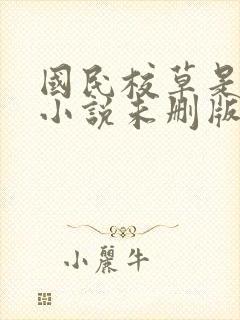国民校草是女生小说未删版