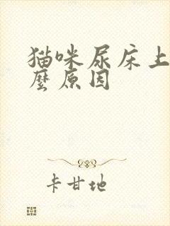 猫咪尿床上是什么原因