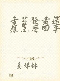 舌苔发黄还有裂痕怎么回事