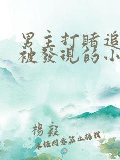 男主打赌追女主被发现的小说