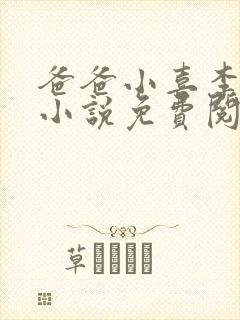 爸爸小喜李叔叔小说免费阅读