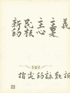 新民主主义革命的核心是