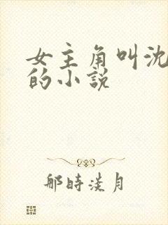 女主角叫沈幼宁的小说