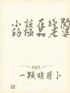 小说在线阅读我的极品老婆