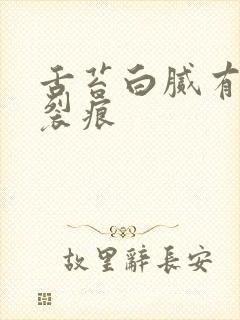 舌苔白腻有齿痕裂痕