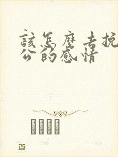 该怎么去挽回老公的感情