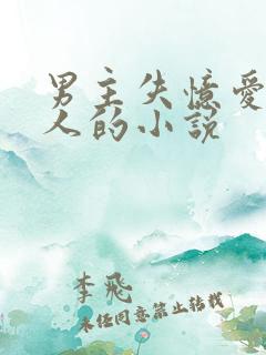 男主失忆爱上别人的小说