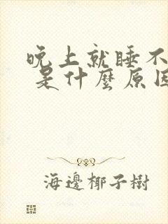 晚上就睡不着觉 是什么原因呢