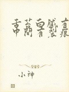 舌苔白腻有齿痕中间有裂痕是什么原因