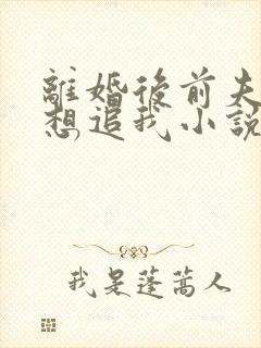 离婚后前夫总是想追我小说