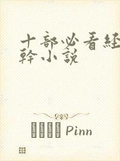 十部必看经典高干小说