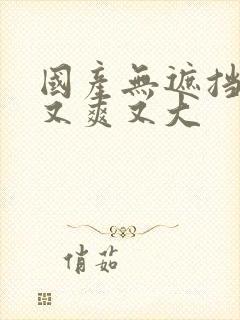 国产无遮挡又黄又爽又大