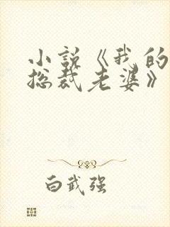 小说《我的冰山总裁老婆》