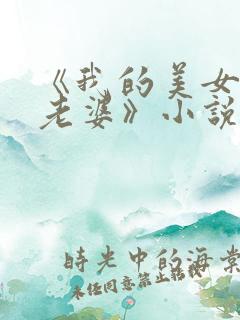 《我的美女总裁老婆》小说