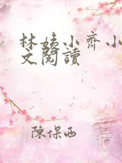 林姨小齐小说全文阅读