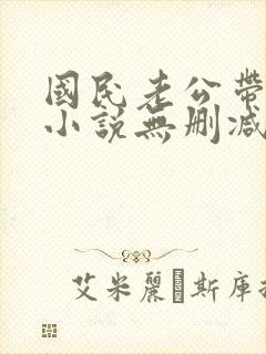 国民老公带回家小说无删减