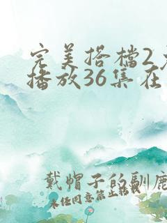 完美搭档2免费播放36集在线观看